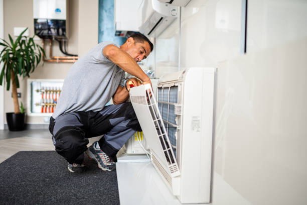 Best Air Duct Cleaning Near Me  in Agua Dulce, TX