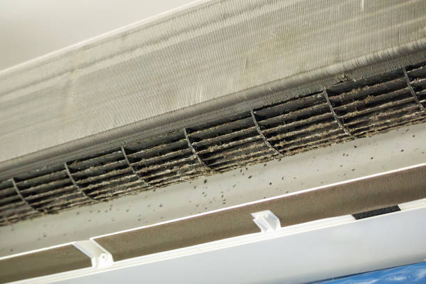 Best Duct Cleaning for Offices  in Agua Dulce, TX