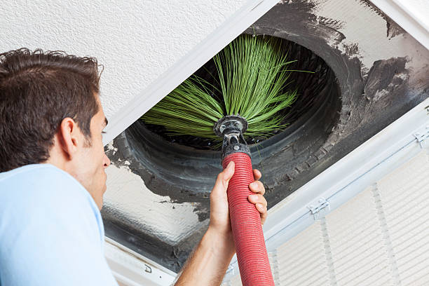 Best HVAC Air Duct Cleaning  in Agua Dulce, TX